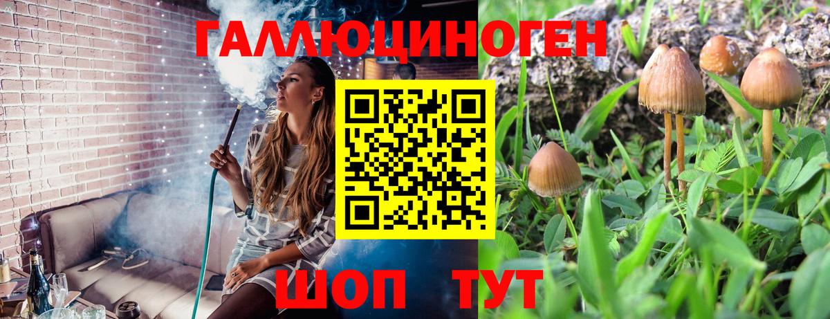 Нижневартовск  Псилоцибиновые грибы GOLDEN TEACHER  что такое   Вход с VPN  Галлюциногенные грибы мухоморы 